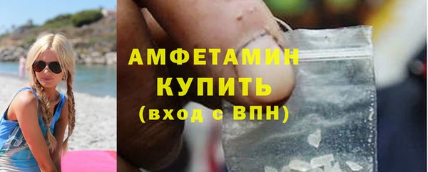 сатива Няндома