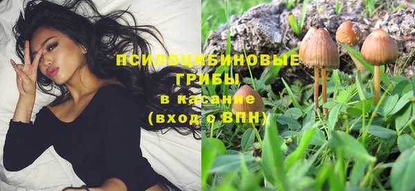 мдма Ельня