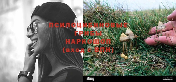 мдма Ельня