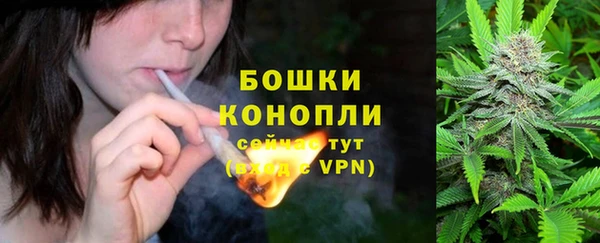 мдма Ельня