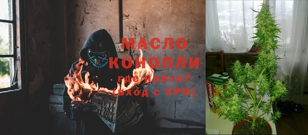 мдма Ельня