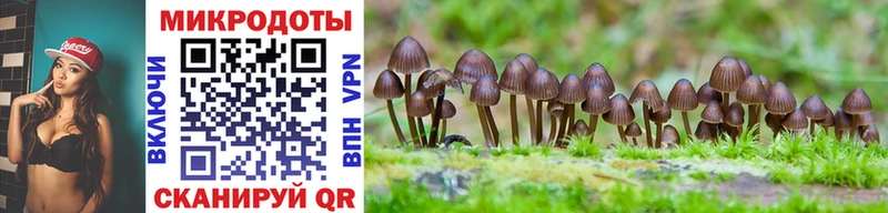 Псилоцибиновые грибы Magic Shrooms  Плавск 